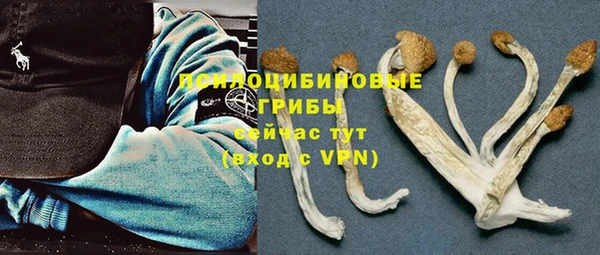 PSILOCYBIN Дмитровск