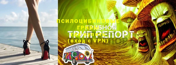 PSILOCYBIN Дмитровск