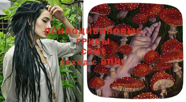 PSILOCYBIN Дмитровск