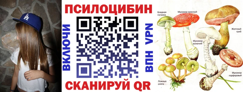 Галлюциногенные грибы GOLDEN TEACHER  Купить  Балашов 
