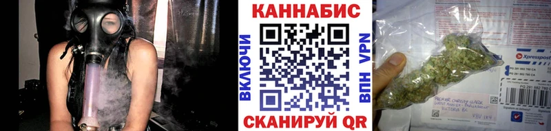 Канабис планчик Купить где Балашов